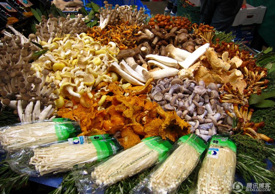 按此在新窗口打开图片